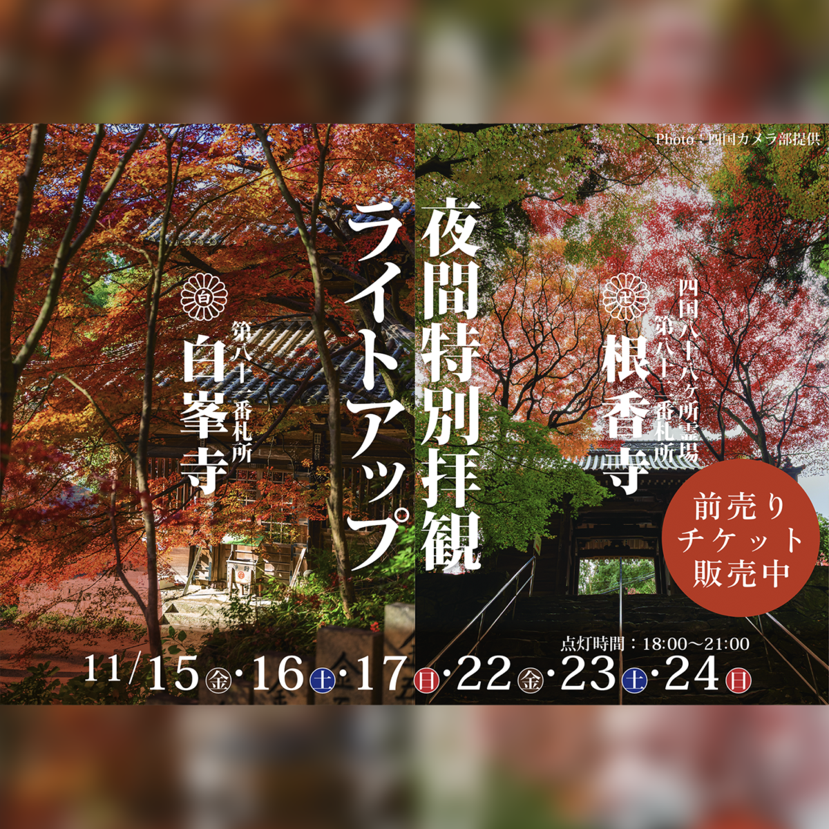 [November Event] Special Evening Temple Visits & Illumination at the Sacred Sites of the Shikoku Pilgrimage!!