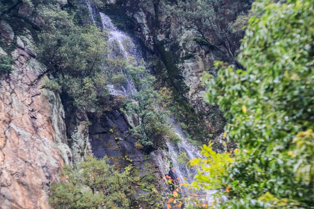 To Hidden Waterfalls of Quiet Serenity<br>──A restorative journey to steady your mind in Sakaide.