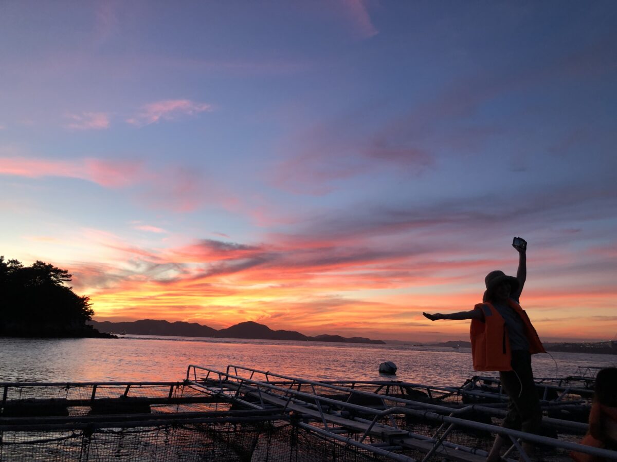 河豚天海地