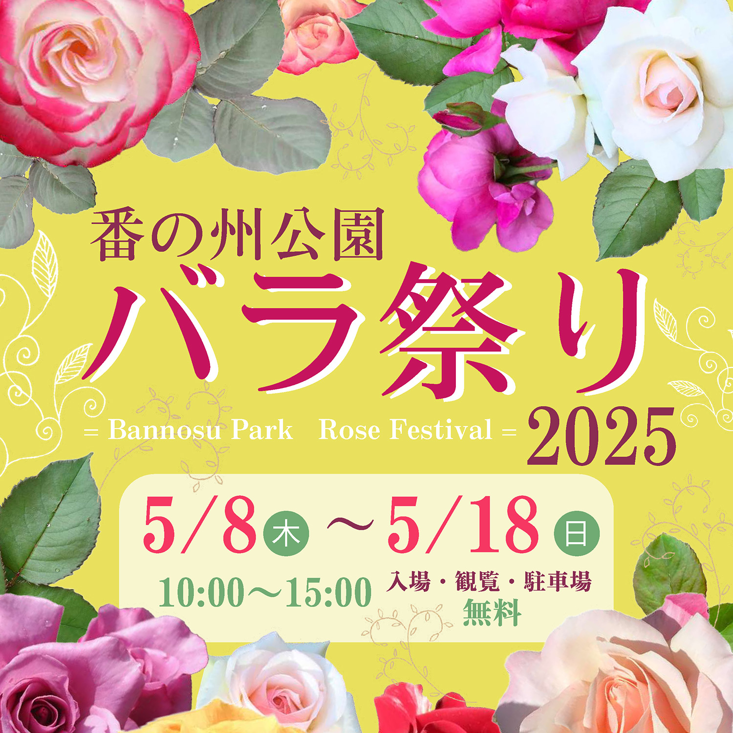 番の州公園 バラ祭り2025