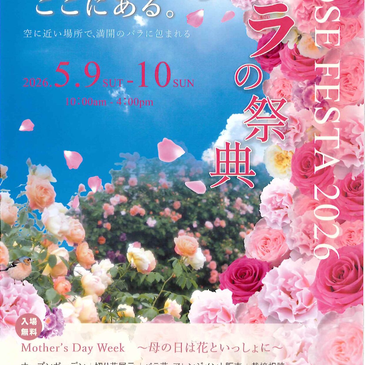 バラの祭典 ローズフェスタ 2026 | 【公式】香川県坂出市の観光・旅行