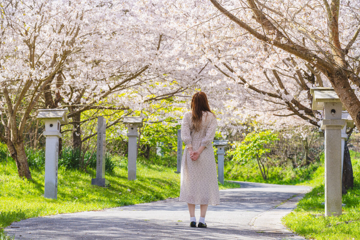 ふんわり春色、坂出の桜めぐり　　　　　　　　　　　　　　　