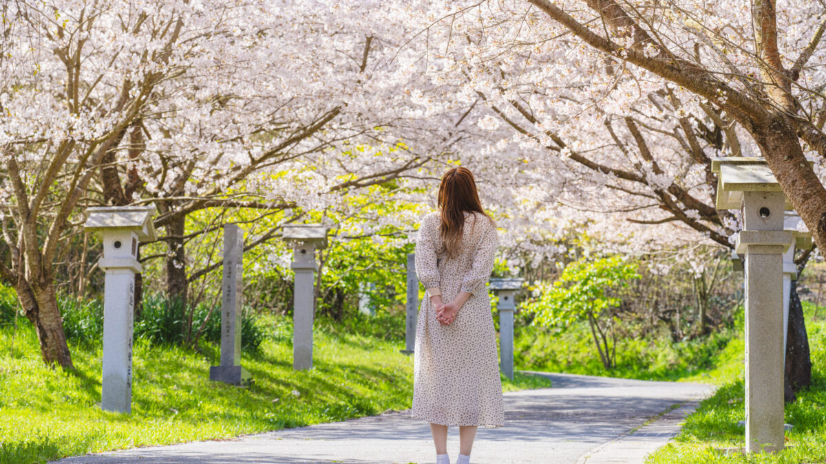 ふんわり春色、坂出の桜めぐり | 【公式】香川県坂出市の観光・旅行