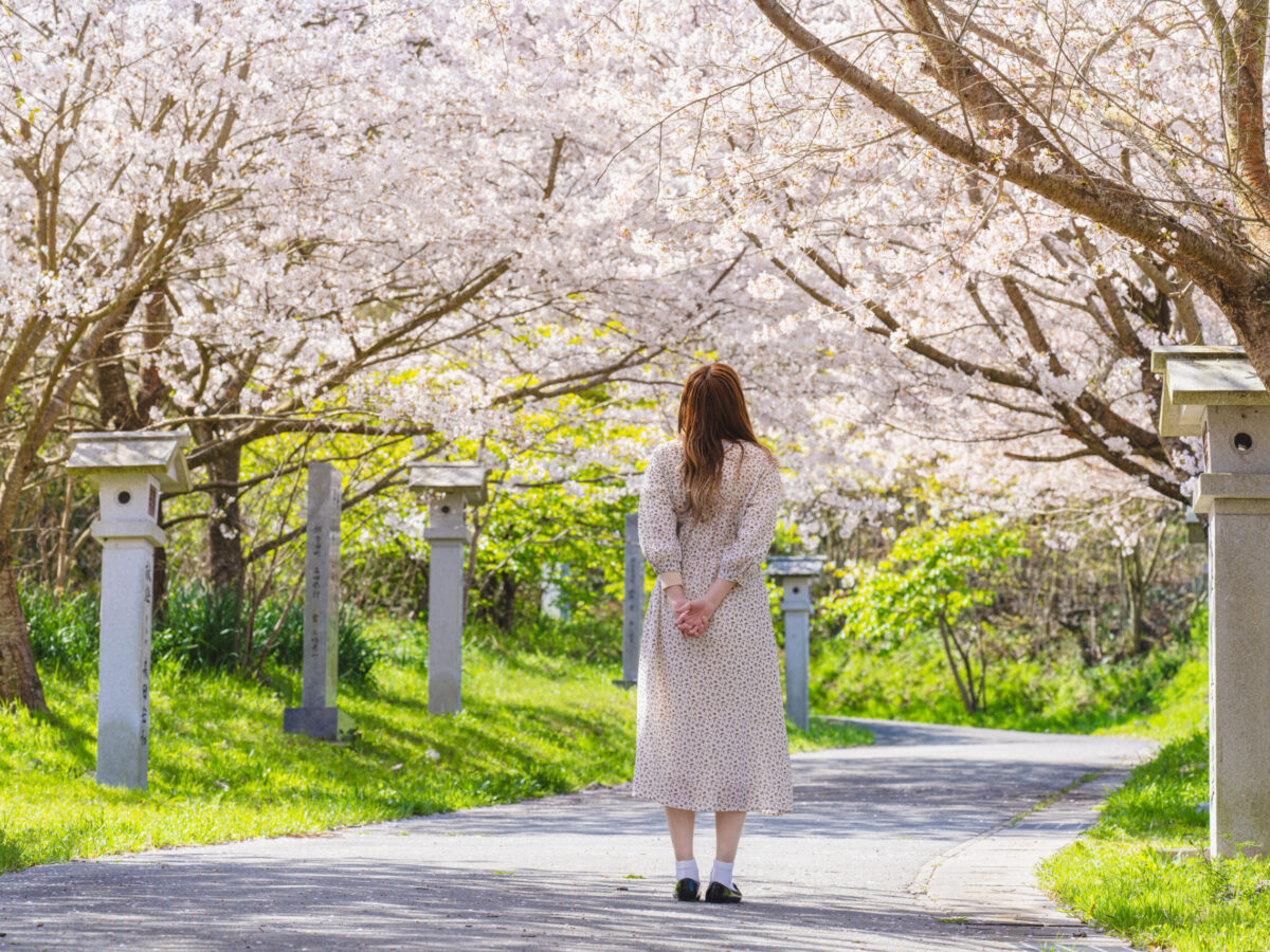ふんわり春色、坂出の桜めぐり | 【公式】香川県坂出市の観光・旅行