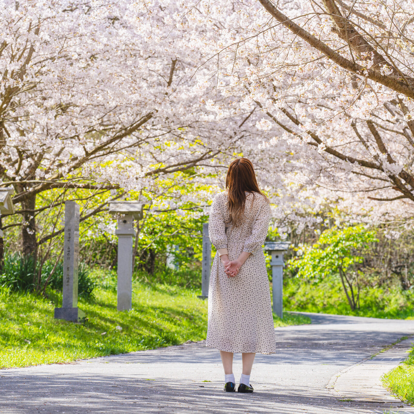 ふんわり春色、坂出の桜めぐり | 【公式】香川県坂出市の観光・旅行
