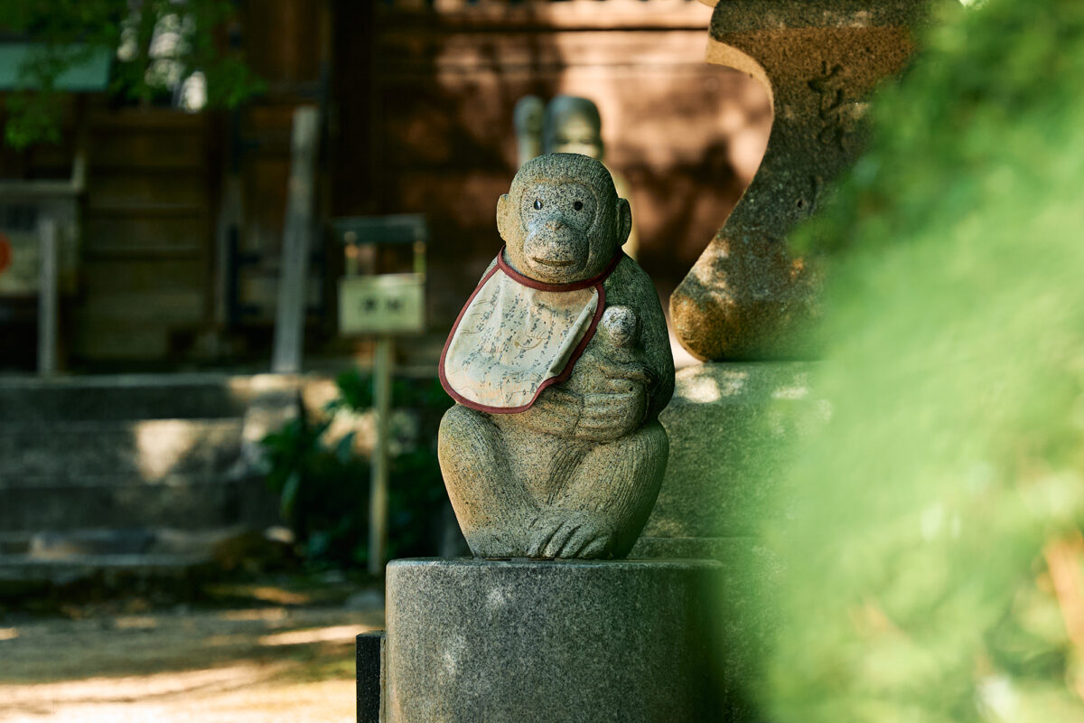 親子で楽しむ秋の冒険！坂出市の紅葉スポット　白峯寺へ行こう！