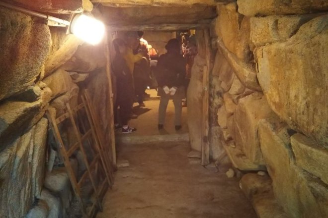 【まち歩き】加茂古墳群を歩く+ブロッコリー収穫体験