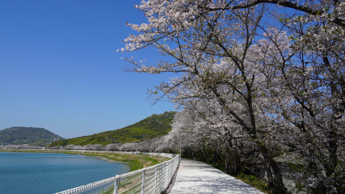 鎌田池・鎌田池公園