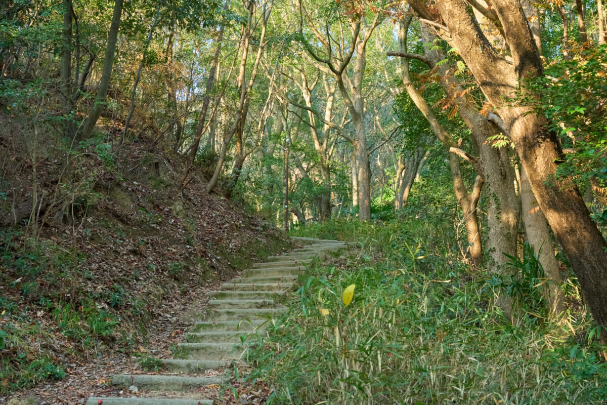 子どもと行きたい香川の山。坂出の里山で、好奇心が止まらない一日